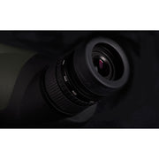 HAWKE ENDURANCE ED SPOTTING SCOPE 12-36X50 56190